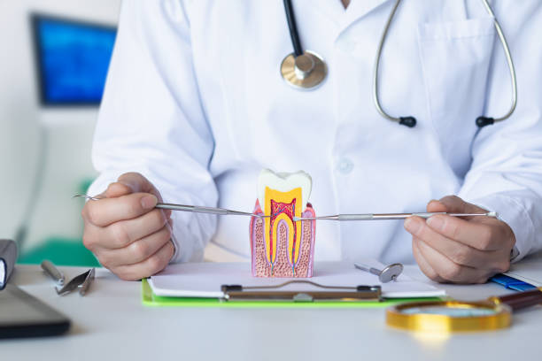Best Emergency Wisdom Tooth Extraction in Woodworth, OH